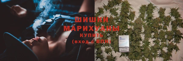 дживик Белокуриха