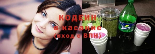 дживик Белокуриха