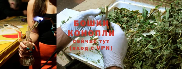 дживик Белокуриха