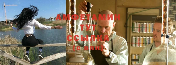 дживик Белокуриха