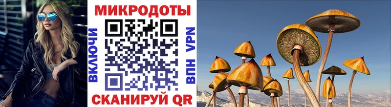 Купить закладки  Котлас  Галлюциногенные грибы мицелий 